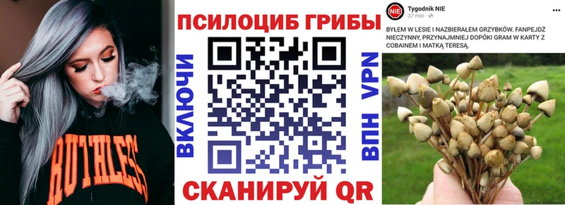 что такое наркотик  мега tor  Псилоцибиновые грибы прущие грибы  Уссурийск 