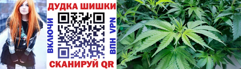 где купить   Уссурийск  Каннабис индика 